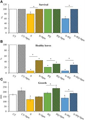 Exogenous spermine alleviates the negative effects of combined salinity and paraquat in tomato plants by decreasing stress-induced oxidative damage